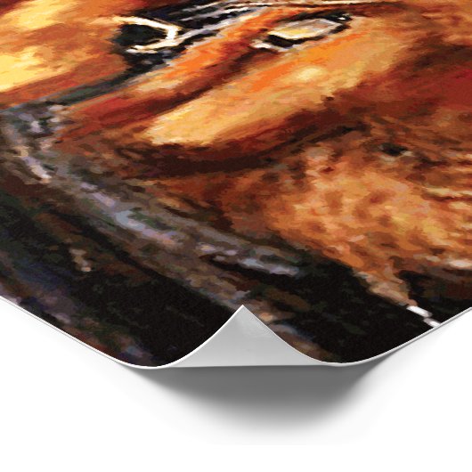 Rogue Pirate Poster (Hoek)