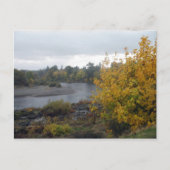 Rogue River, Grants Pass. Of... Briefkaart (Voorkant)