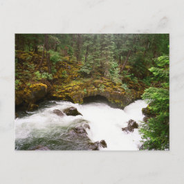 Rogue River Lava Tube Briefkaart