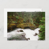 Rogue River Lava Tube Briefkaart (Voorkant / Achterkant)