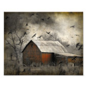 Roguish Ravens Creëer een kroonado Foto Afdruk (Voorkant)