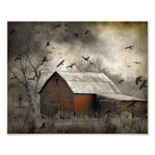 Roguish Ravens Creëer een kroonado Foto Afdruk