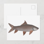 Roho Labeo Briefkaart (Voorkant / Achterkant)