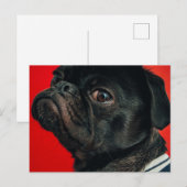 rojo-hond briefkaart (Voorkant / Achterkant)