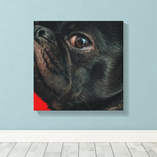 rojo-hond canvas afdruk (Insitu (Houten vloer))
