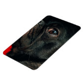 rojo-hond magneet (Linkerzijde)