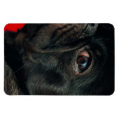rojo-hond magneet (Horizontaal)