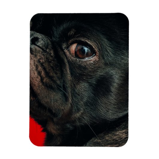 rojo-hond magneet (Verticaal)