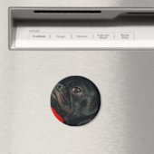 rojo-hond magneet (Insitu (Vaatwasser))
