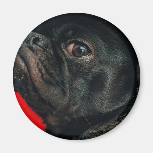 rojo-hond magneet (Voorkant)