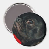 rojo-hond magneet (Voorkant / Achterkant)