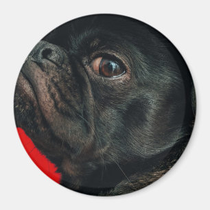 rojo-hond magneet