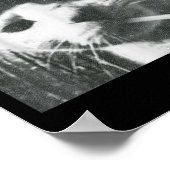 Roken Kat Beanie Meme Grunge Esthetische Grappige Poster (Hoek)