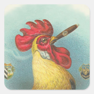 Roken Rooster Vierkante Sticker