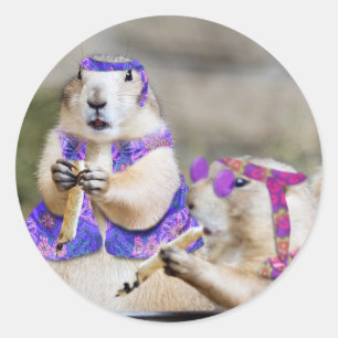 Rokende Prairiehond Hippies Ronde Sticker