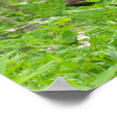 Rokerachtig Beer Poster (Hoek)