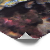 Rokerschildpad Poster (Hoek)