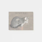 Rokig grijze tabbykat post-it® notes (Voorkant)