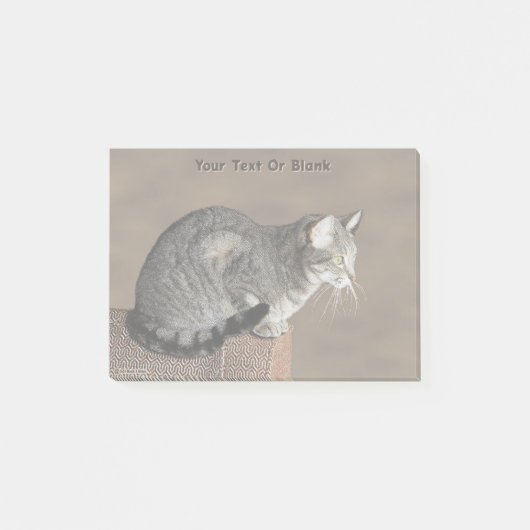 Rokig grijze tabbykat post-it® notes (Voorkant)