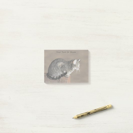 Rokig grijze tabbykat post-it® notes (Op bureau)