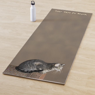 Rokig grijze tabbykat yogamat