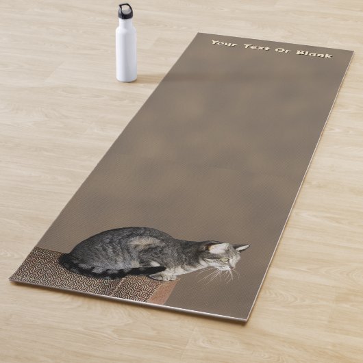 Rokig grijze tabbykat yogamat (In situ)