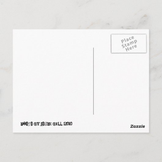 Rokin-giraffe Briefkaart (Achterkant)