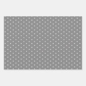 Roky Grey Polka Dot Wide Striped and Solid Inpakpapier Vel (Voorkant 2)