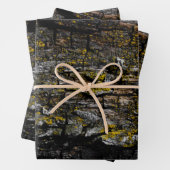 Rol bruine mossy houtslijp met gele lichen inpakpapier vel (In situ)