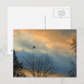 Rol op een pastelhemel briefkaart (Voorkant / Achterkant)