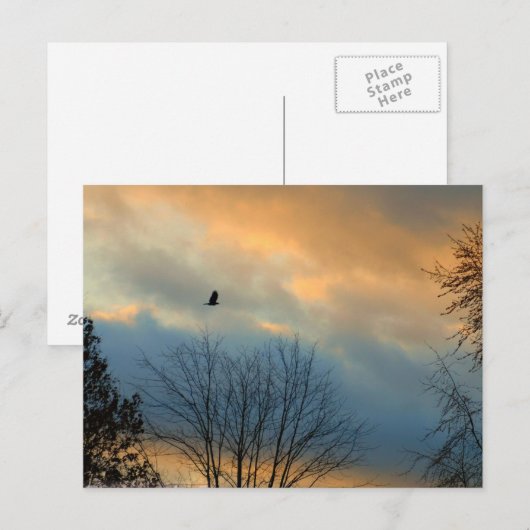 Rol op een pastelhemel briefkaart (Voorkant / Achterkant)