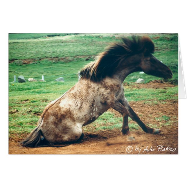 rol rond 2 (Voorkant Horizontaal)