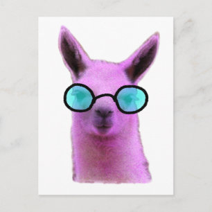 Rol Roze Llama! Briefkaart