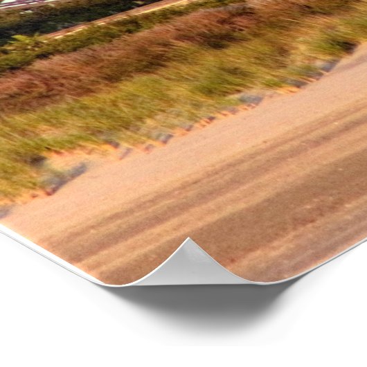 Rolachtbaan Poster (Hoek)