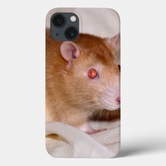 Rolando iPad Hoesje (Achterkant)
