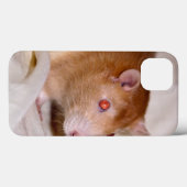 Rolando iPad Hoesje (Achterkant (horizontaal))