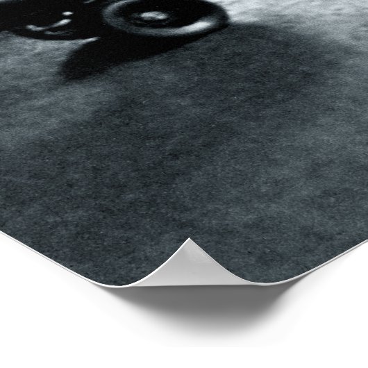 rolderby poster (Hoek)