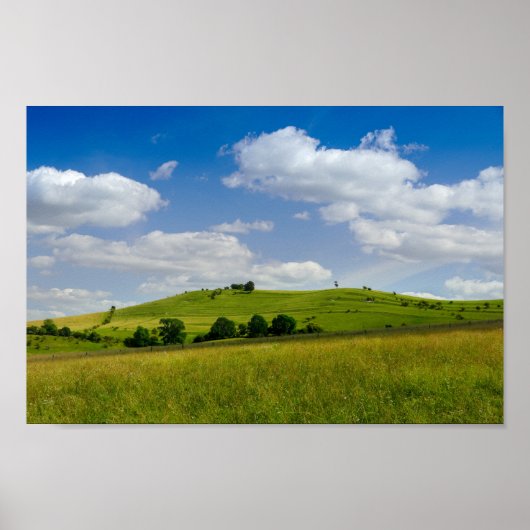 Rolend zomerlandschap poster (Voorkant)