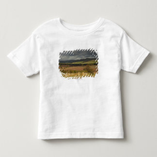 Rolheuvels en bergen onder een troebele hemel kinder shirts