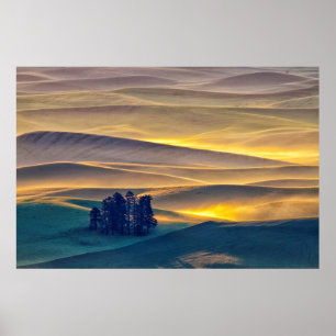 Rolheuvels van tarwe op zonsopgang WA Poster