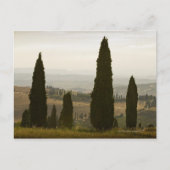 Rollandschap, Toscane, Italië 2 Briefkaart (Voorkant)
