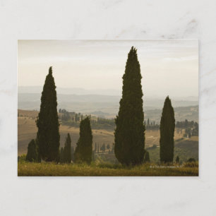 Rollandschap, Toscane, Italië 2 Briefkaart