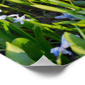 Rolleiflex-camera Poster (Hoek)