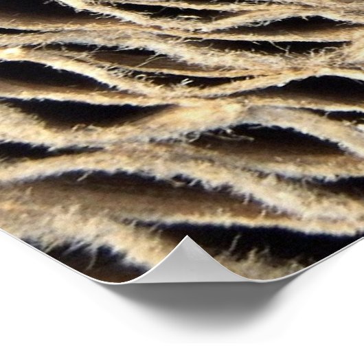 Rollen van golfpapier poster (Hoek)