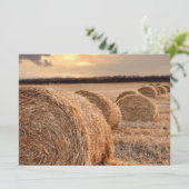 Rollen van Hay Kaart (Staand voorkant)