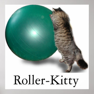 Rollend Kat Poster