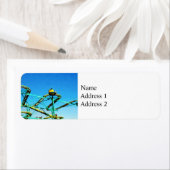 Rollend Onderzetter Etiket (Insitu)