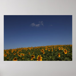 Rollende bloemen poster