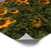 Rollende bloemen poster (Hoek)