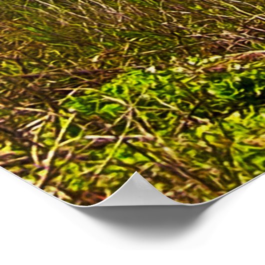 Rollende Oaks Afdrukken Poster (Hoek)